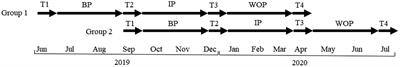 Impact of a Remotely Supervised Motor Rehabilitation Program on Maternal Well-Being During the COVID-19 Italian Lockdown